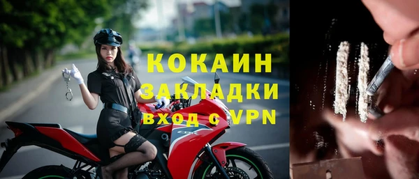 крисы Гусев
