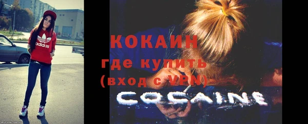 крисы Гусев