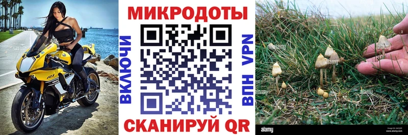 дарнет шоп  Новочебоксарск  Псилоцибиновые грибы мицелий 
